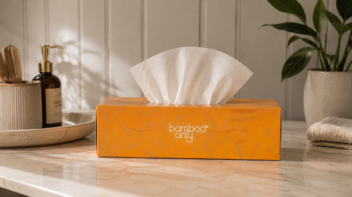 Bamboo Facial Tissues – 12 Boxes